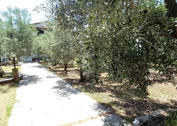 Ferienhaus Filio *