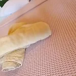 Vakantiehuis Filio