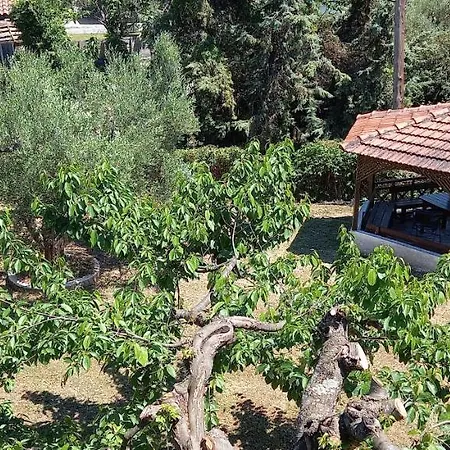 Filio Nikiti (Sithonia)