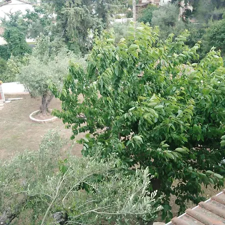 Filio * Nikiti (Sithonia)